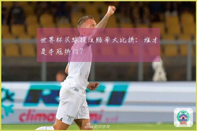世界杯买球投注赔率大比拼：谁才是夺冠热门？