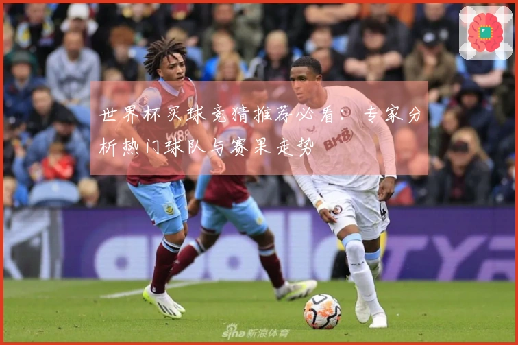 世界杯买球竞猜推荐必看：专家分析热门球队与赛果走势
