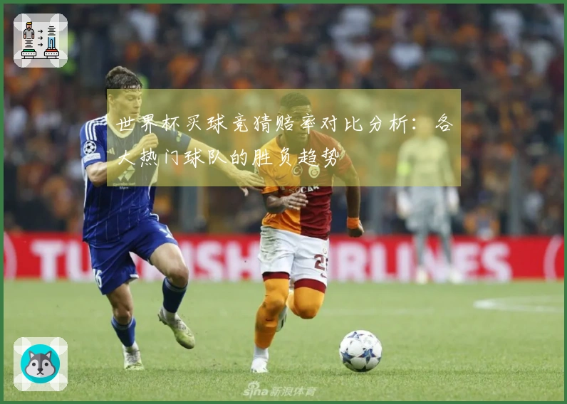 世界杯买球竞猜赔率对比分析：各大热门球队的胜负趋势