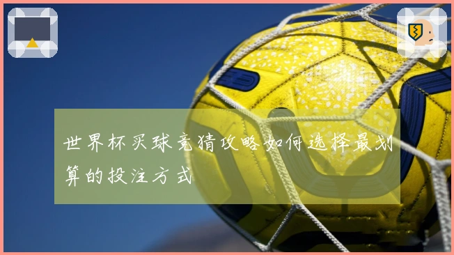 世界杯买球竞猜攻略如何选择最划算的投注方式