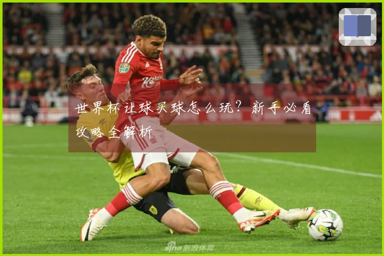 世界杯让球买球怎么玩？新手必看攻略全解析